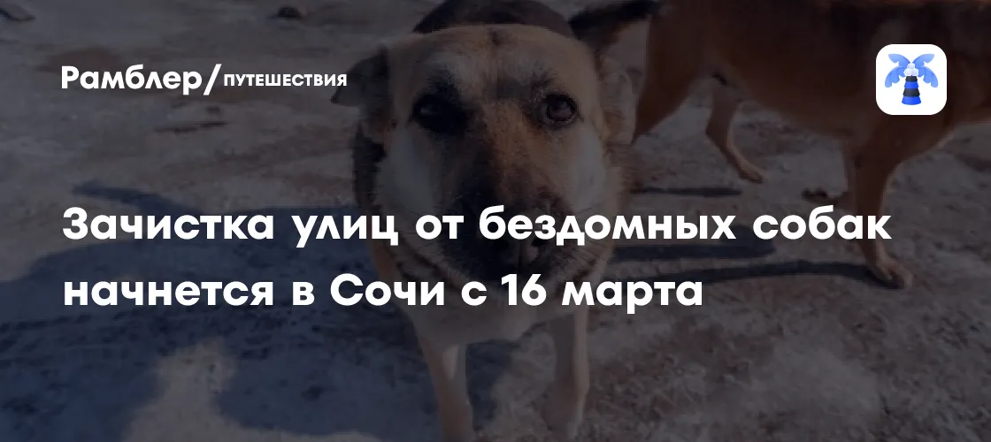Дороги, воздух и ваш малыш: как выбрать район